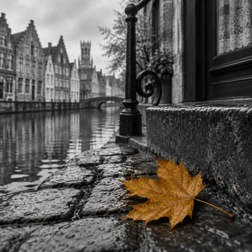 Autumn in Bruges: Why October Delivers the City the Summer Crowds Take Away
