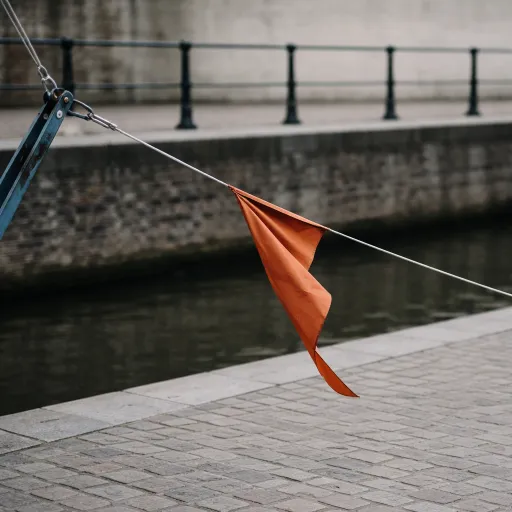 Meifoor 2026: Inside Bruges' 800-Year-Old Festival That Locals Still Love